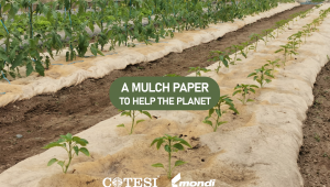 Advantage Kraft Mulch Paper