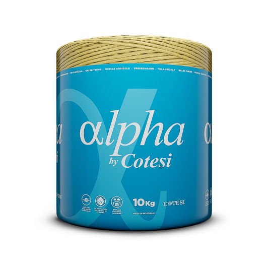 Alpha by Cotesi